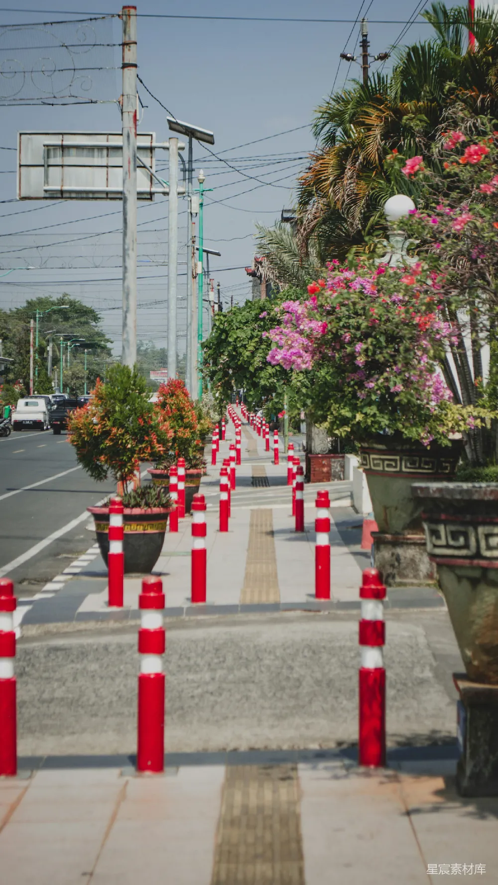 高清摄影 街道 植物 装饰 城市 建筑 花盆与红白柱子的街道