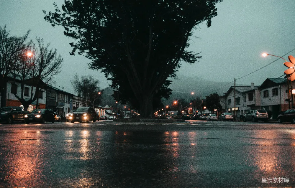 高清摄影 雨夜 小镇 街景 灯光 树木 雨夜的小镇街景