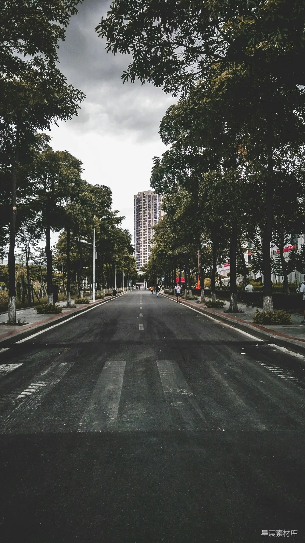 高清摄影 城市 树木 街道 宁静 城市风光 城市中的宁静小路