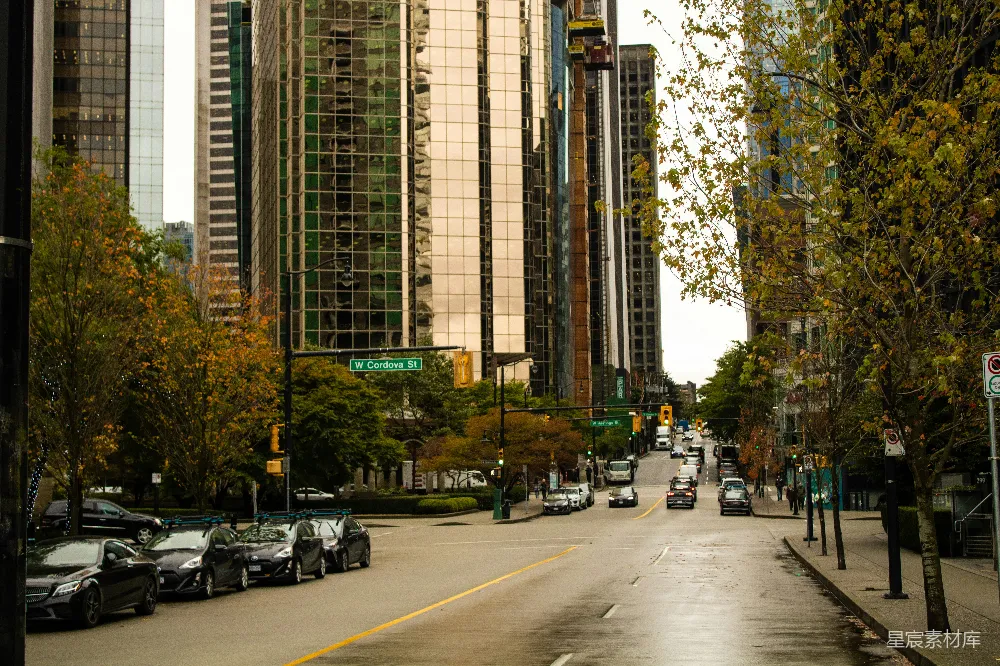 高清摄影 城市 秋天 街道 高楼大厦 交通 城市秋日街景