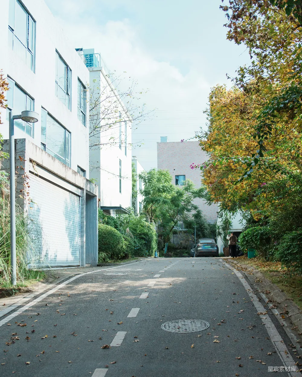 高清摄影 校园 秋天 小路 静谧 自然 秋日校园小路