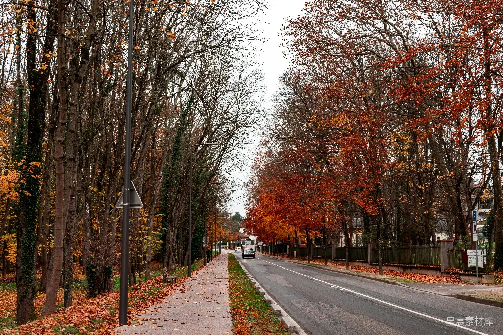 高清摄影 秋天 街道 风景 自然 城市 秋日街道