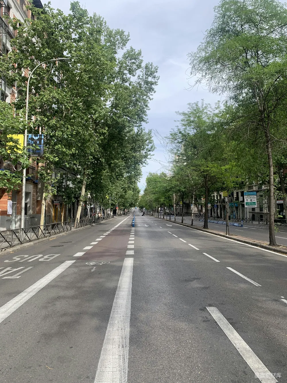 高清摄影 城市街道 绿化 自行车道 城市生活 休闲时光 城市绿意盎然的街道