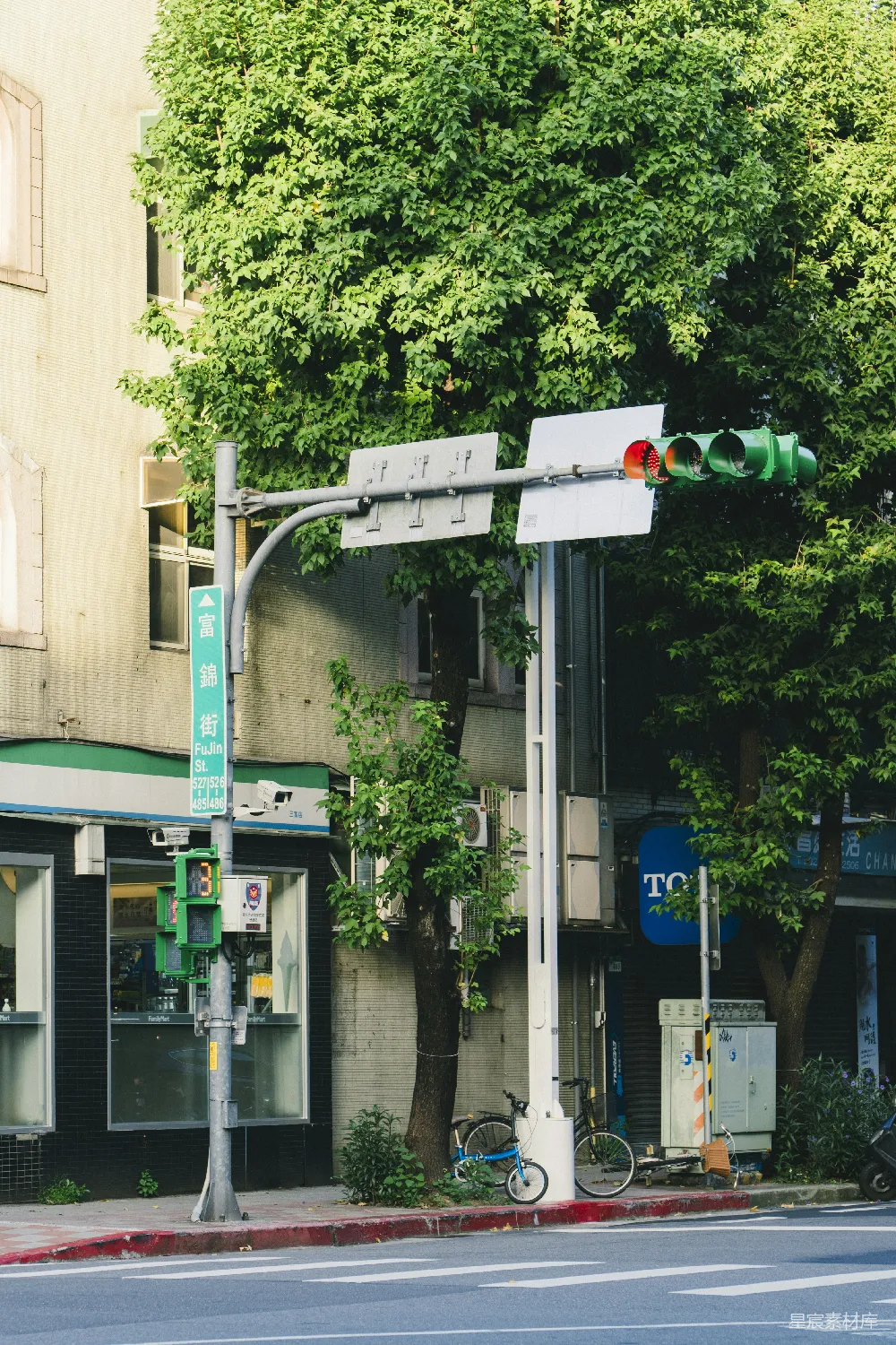高清摄影 城市 绿树 交通信号灯 街道 日常生活 城市街角的绿树与交通信号灯