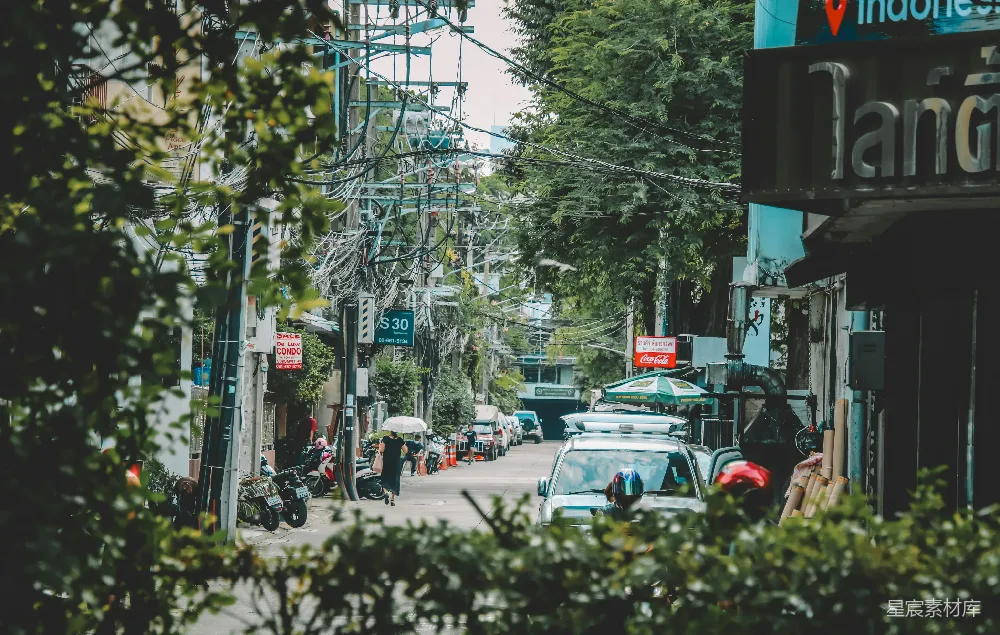 高清摄影 城市生活 街道场景 绿树成荫 日常生活 繁忙街道 城市中的绿意与繁忙