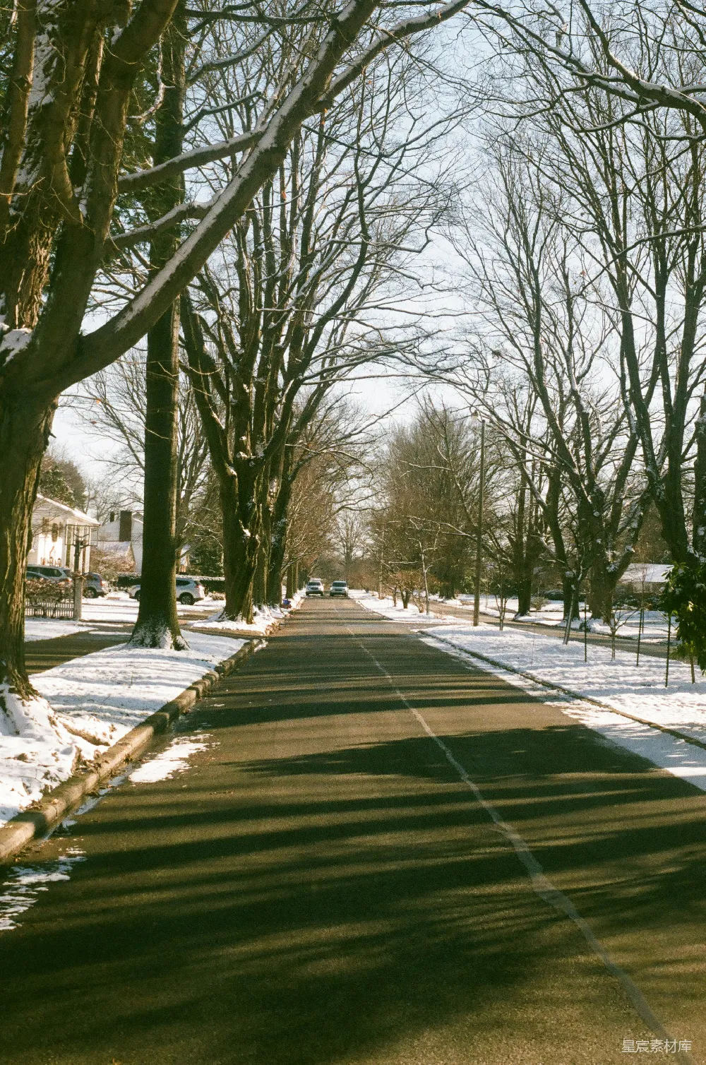 高清摄影 冬日 雪景 街道 自然 宁静 冬日阳光下的雪景街道