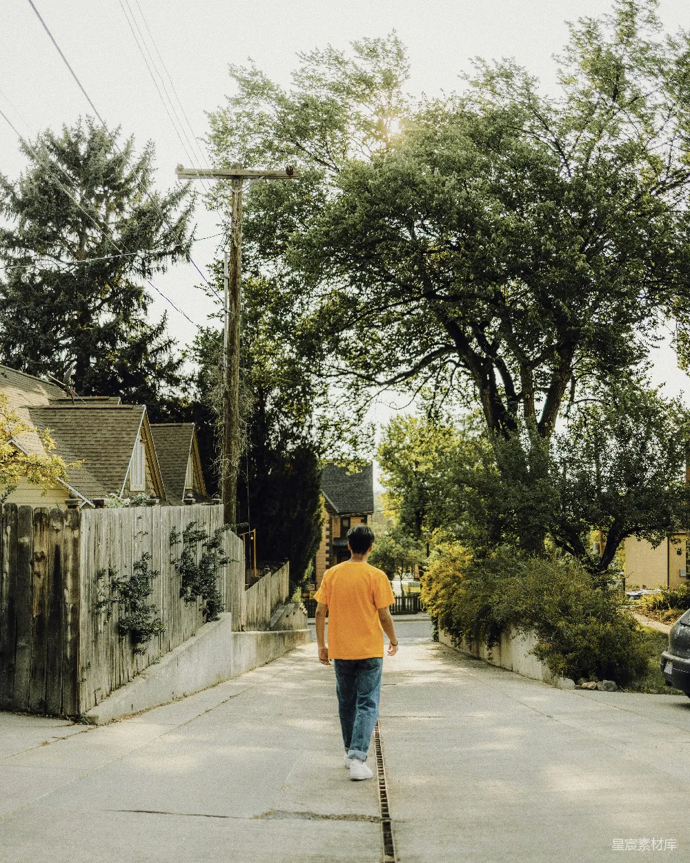高清摄影 人行道 休闲 自然 宁静 早晨 静谧的街道