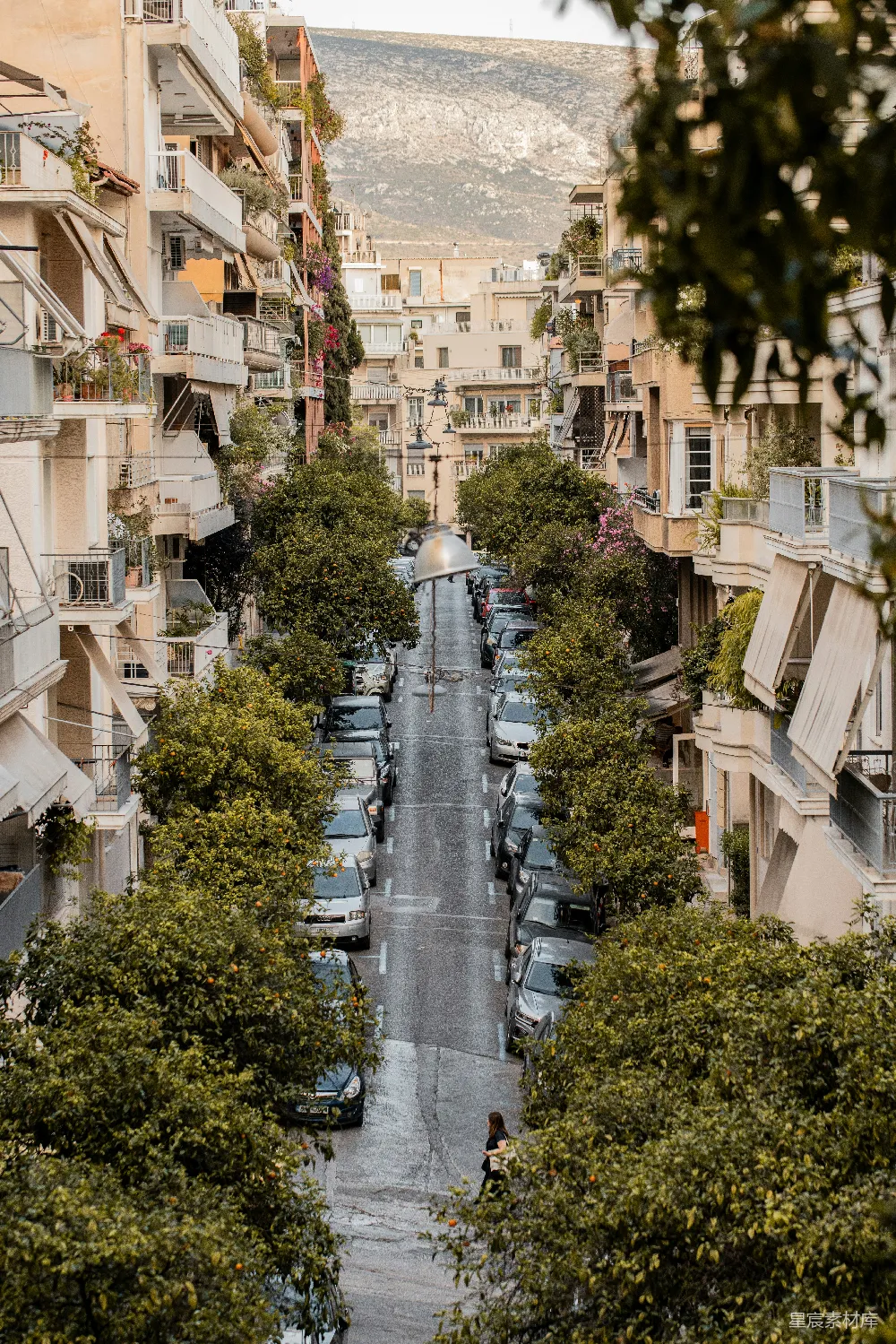 高清摄影 城市 树木 住宅楼 生活场景 自然 城市中的绿意街道