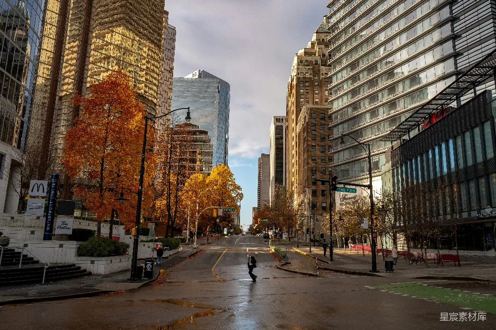 这张图片展示了一个城市的街景，秋天的树木呈现出金黄色，与高楼大厦形成鲜明对比。街上有行人和车辆，地面上有积水，天空阴沉，给人一种宁静而略带萧瑟的感觉。适合用于城市生活、季节变换、都市风景等主题。
