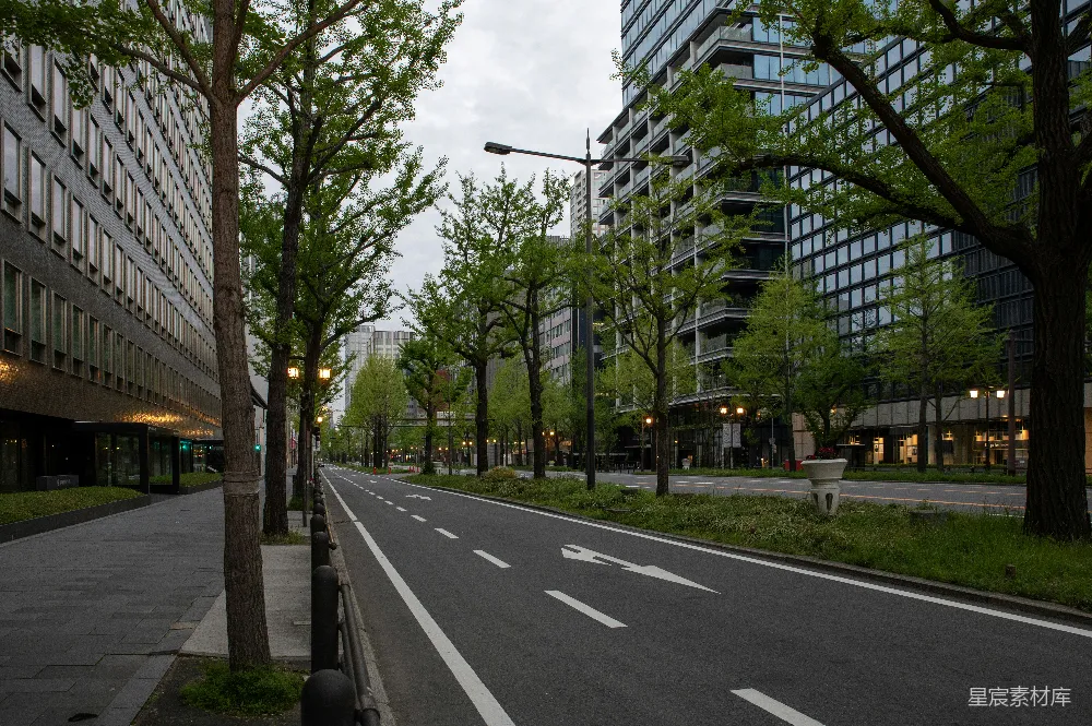 高清摄影 城市 街道 绿化 建筑 清新 城市绿意街道