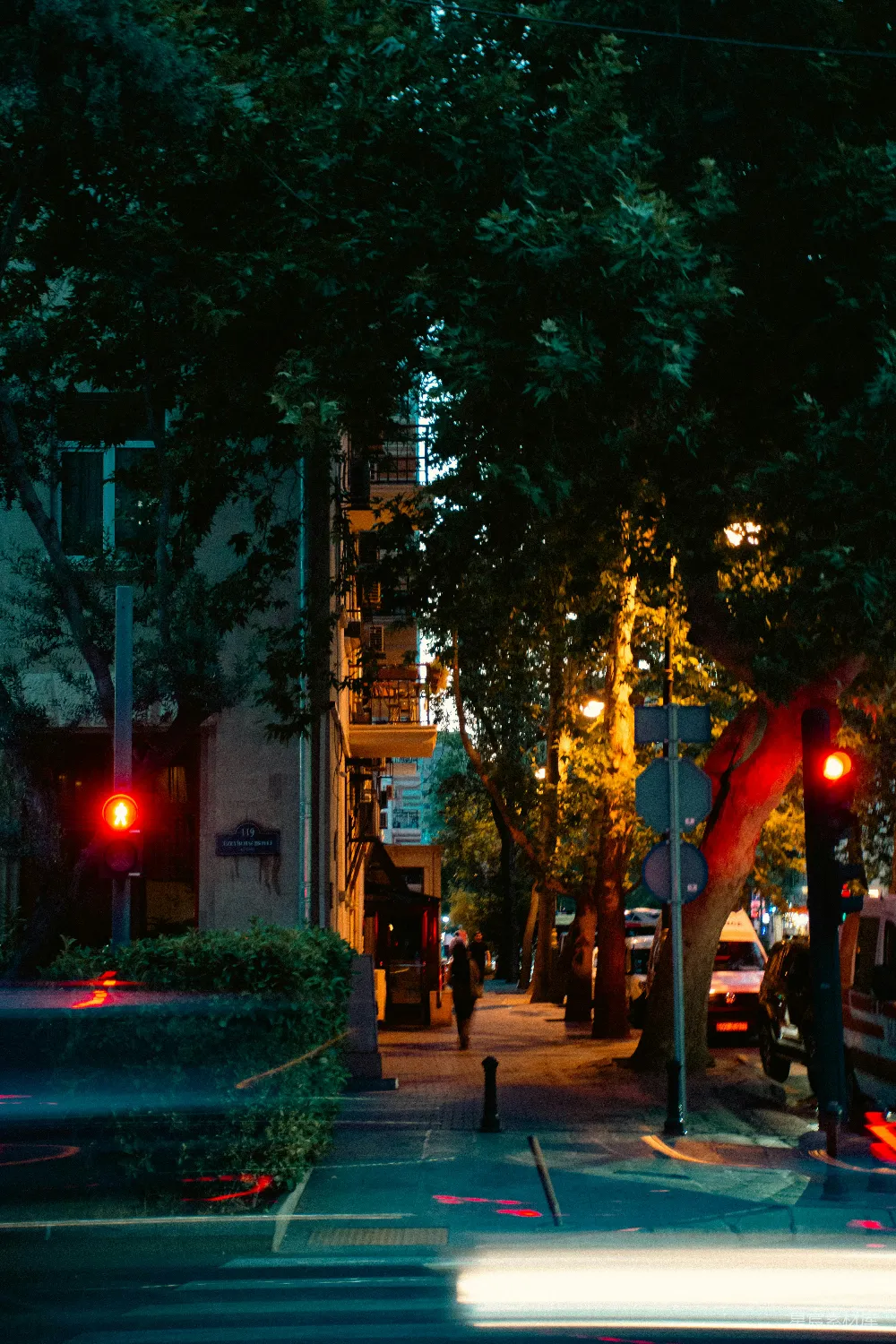 高清摄影 城市 夜晚 树木 交通信号灯 悠闲 夜色中的城市街道