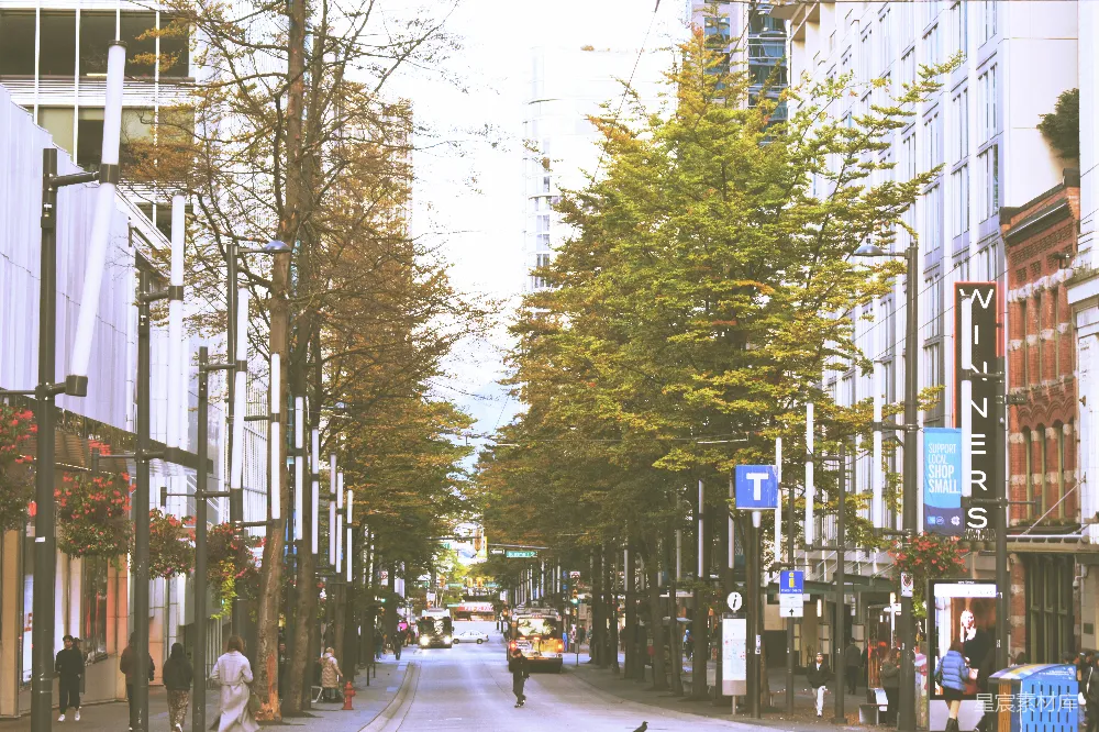 高清摄影 城市 秋日 街道 树木 建筑 城市中的秋日街道