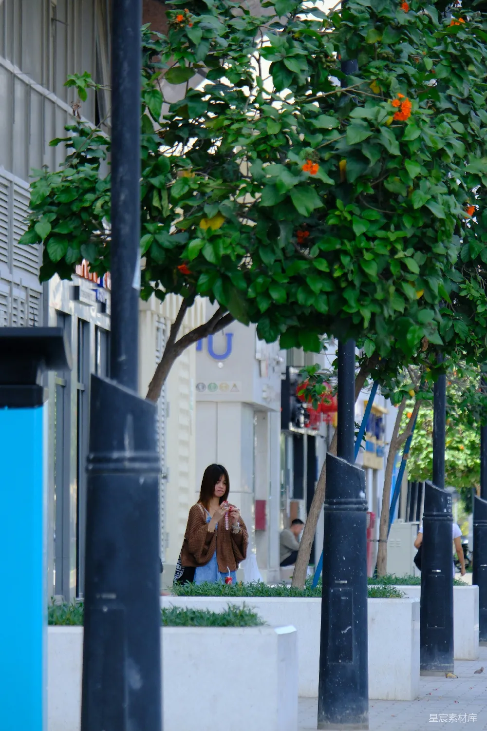 高清摄影 城市 街道 树影 休闲 都市生活 城市街道上的宁静时刻