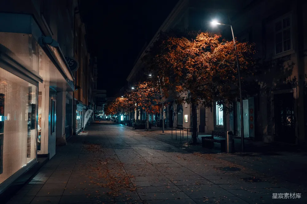 高清摄影 城市 夜晚 秋景 静谧 街灯 秋夜街景