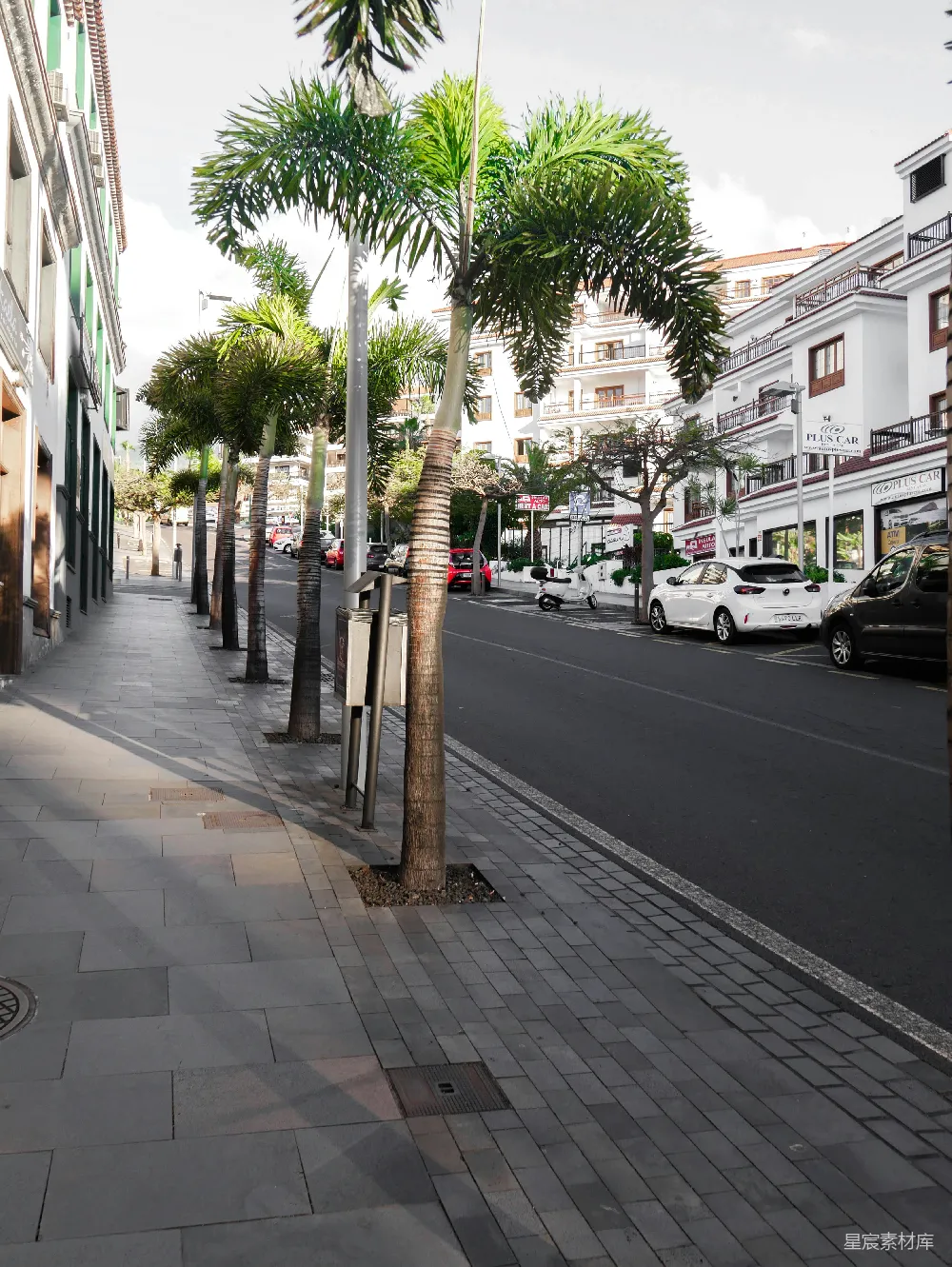 高清摄影 城市 街景 棕榈树 建筑 阳光 城市街道上的棕榈树