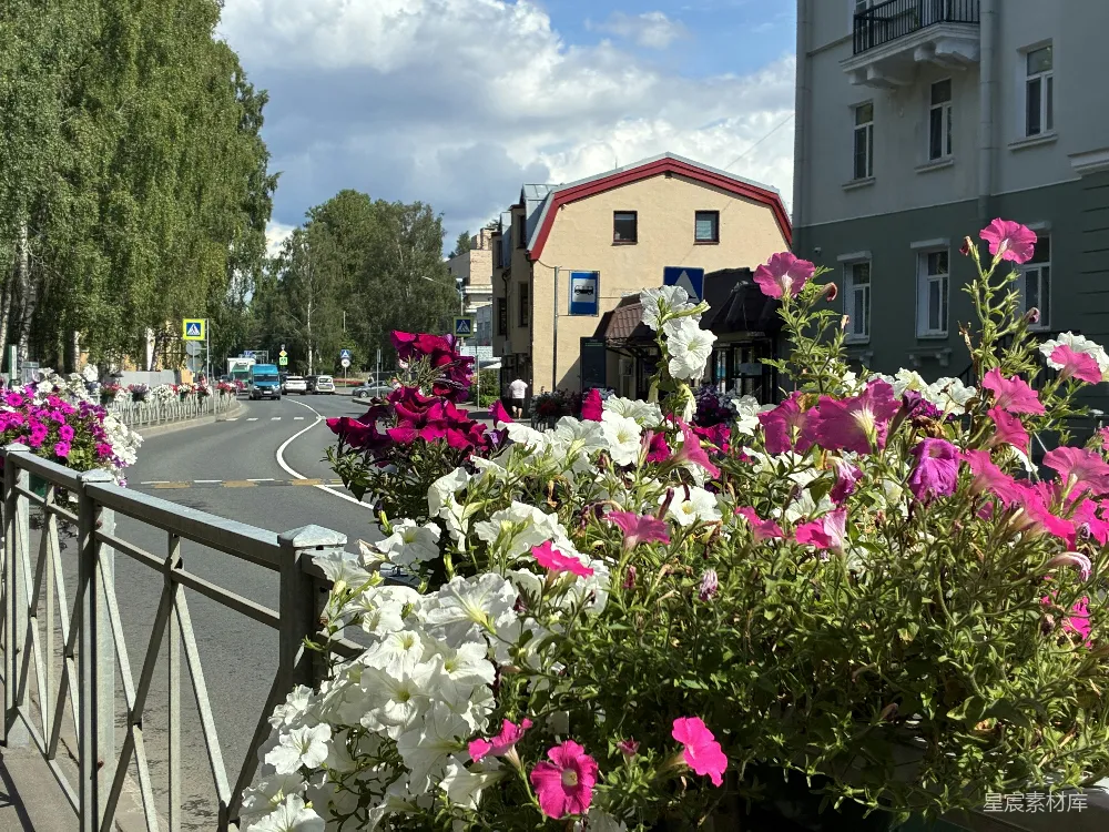 高清摄影 城市 花海 街道 建筑 自然 城市街角的花海
