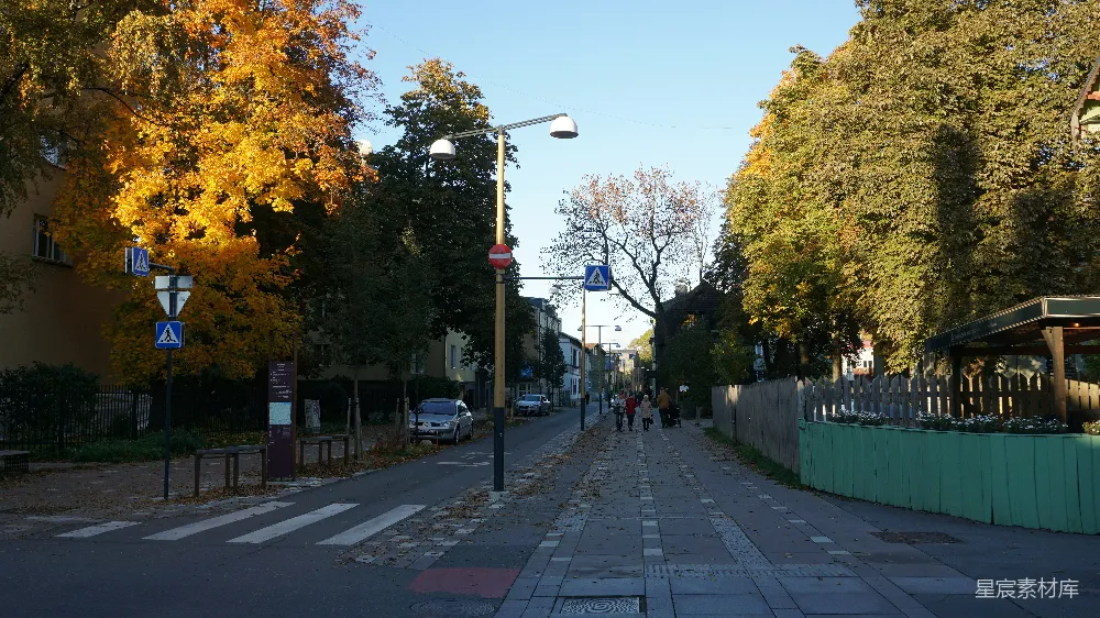 高清摄影 城市风景 秋季 街道 自然风光 休闲时光 秋日街道的宁静时光