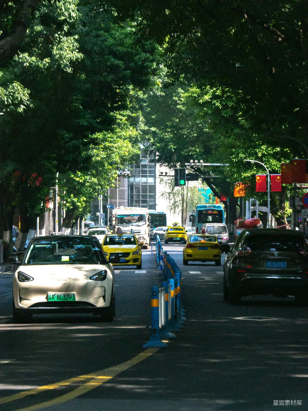 高清摄影 城市 交通 树木 阳光 街道 城市绿荫下的车流