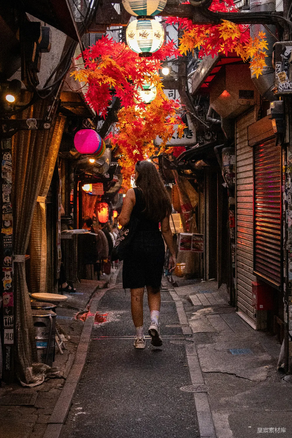 高清摄影 秋景 巷弄 漫步 秋叶 夜晚 秋日巷弄漫步