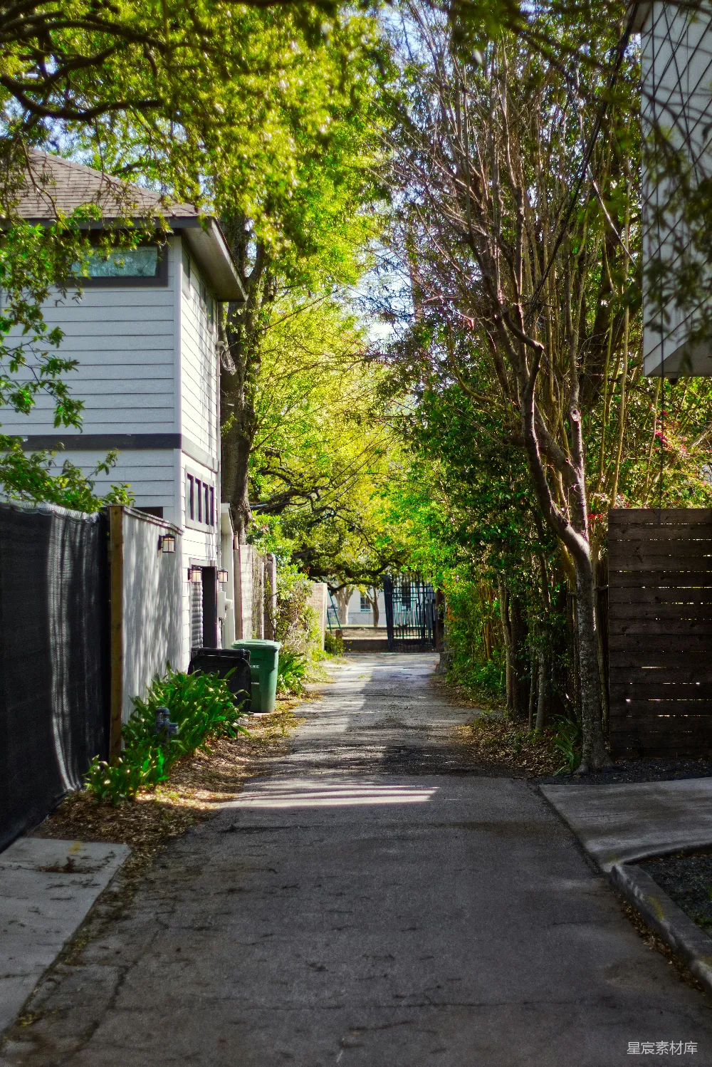 高清摄影 小巷 阳光 宁静 自然 住宅 阳光洒满的宁静小巷