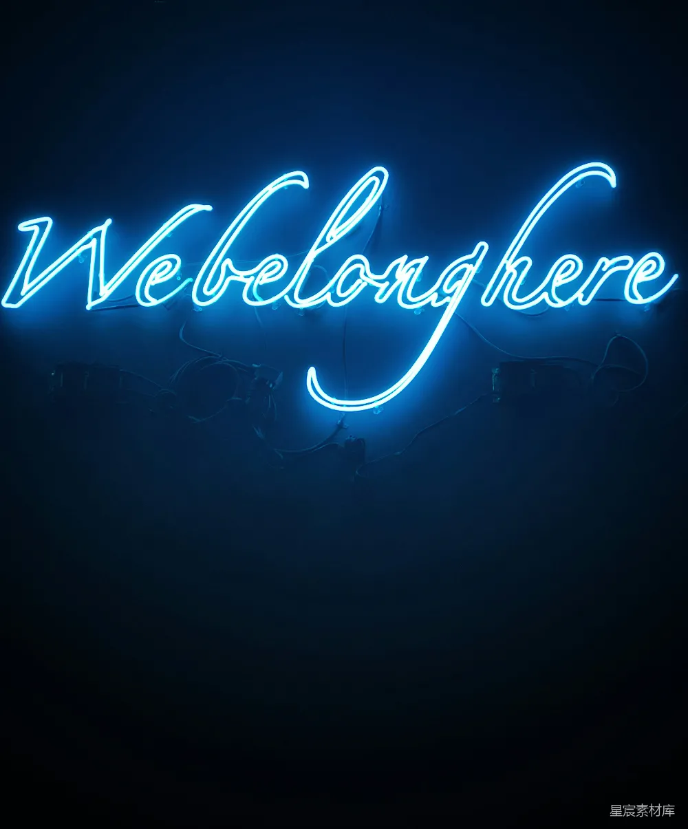 高清摄影 霓虹灯 现代感 励志标语 室内装饰 We Belong Here Neon Sign
