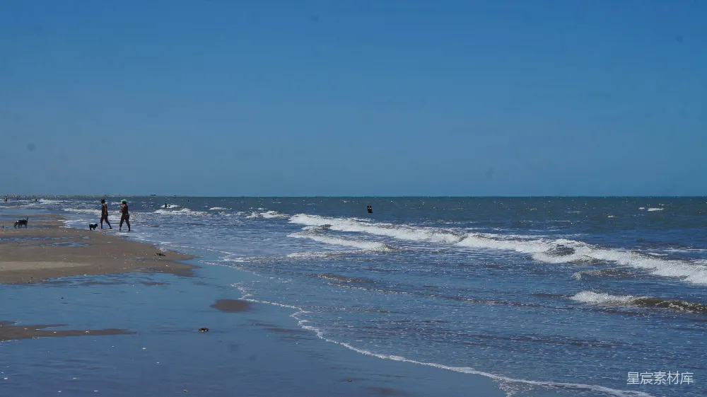 高清摄影 海滩 自然 休闲 夏日 放松 宁静的海滩时光