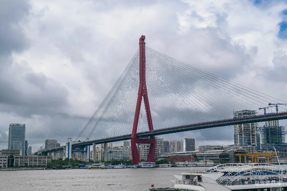 高清摄影 桥梁 城市 现代 建筑 观光 上海杨浦大桥
