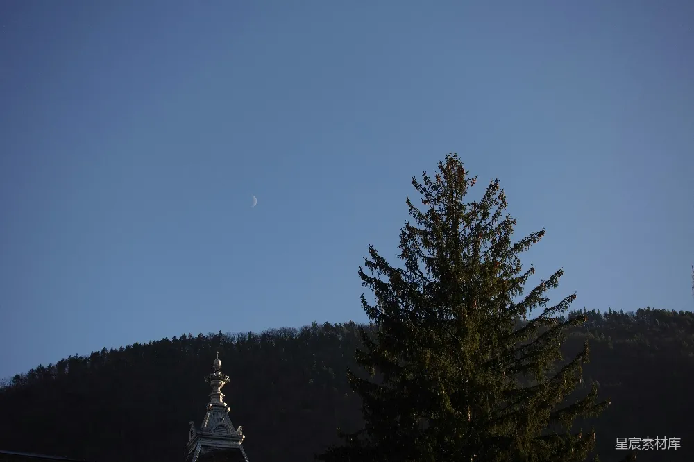 高清摄影 晨曦 自然 宁静 树 天空 晨曦中的宁静景色