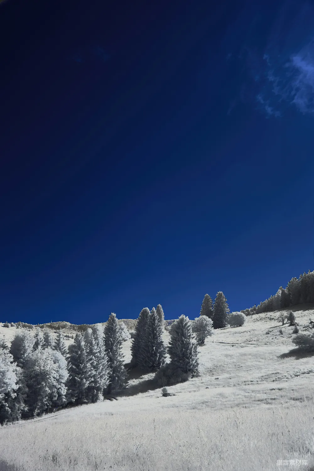 高清摄影 冬季 雪景 自然风光 户外 宁静 冬日雪景