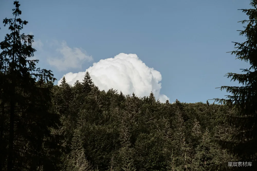 高清摄影 自然 森林 云朵 风景 天气 森林中的巨大积雨云