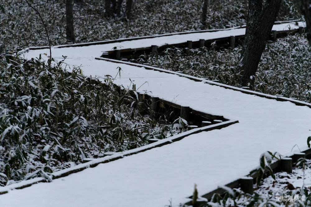 高清摄影 雪景 自然 宁静 冬日 户外 雪中的木桥