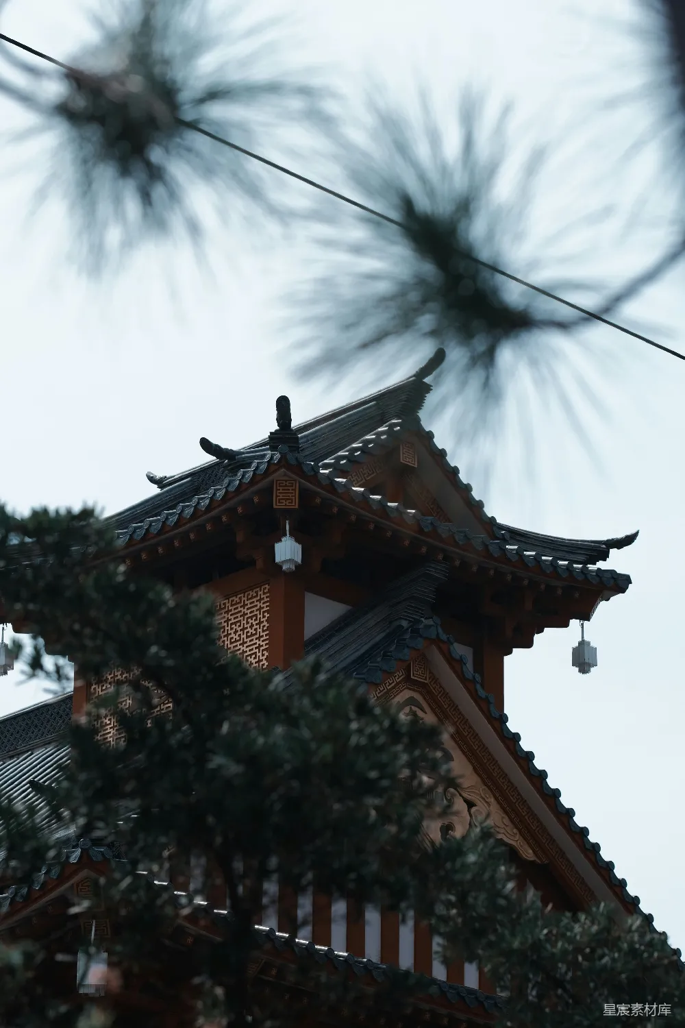 高清摄影 古建筑 松树 静谧 传统 风景 古建筑与松树的静谧一隅
