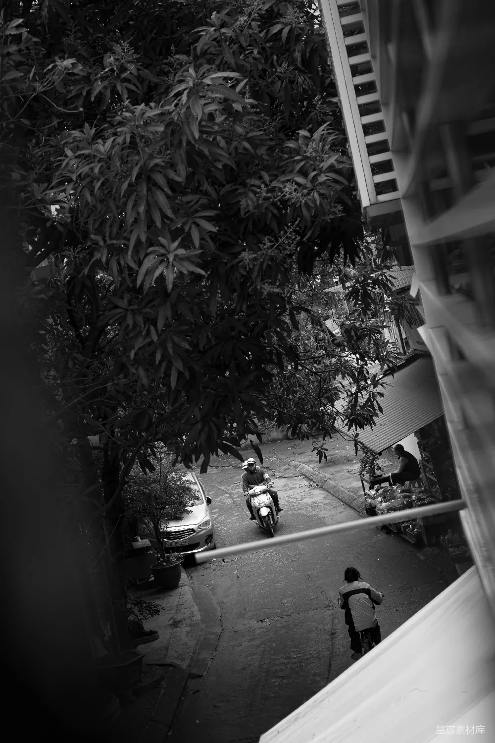 高清摄影 黑白色调 城市生活 街道 日常场景 城市风光 树荫下的街景