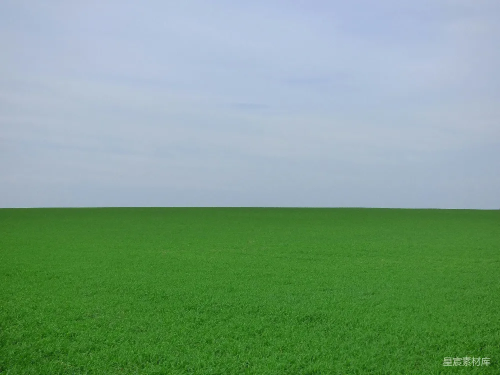 高清摄影 田野 自然 宁静 风景 户外 广阔的绿色田野