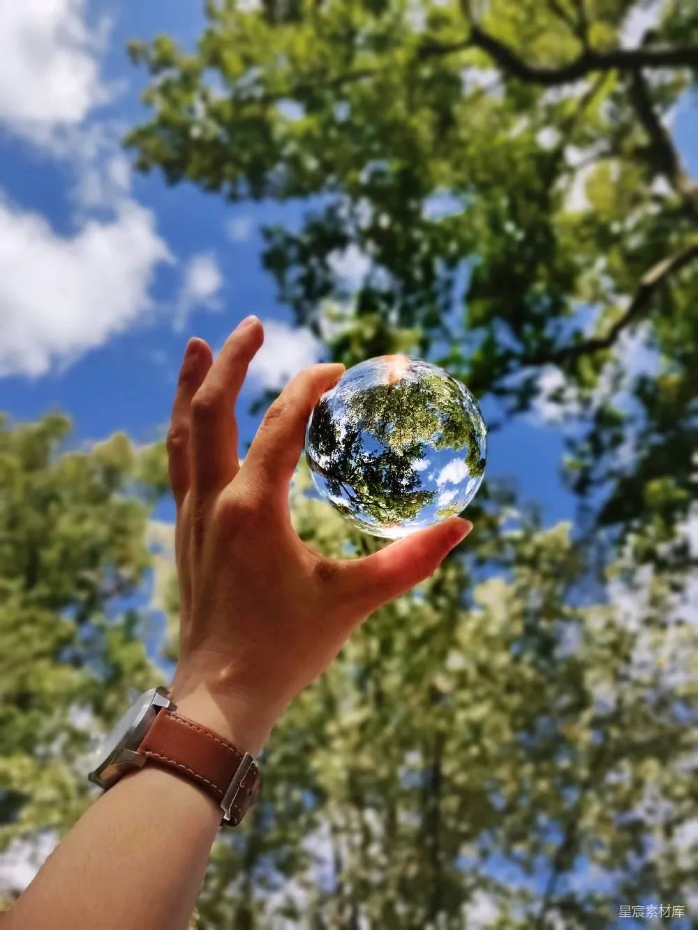 高清摄影 自然 水晶球 手握 户外 宁静 手握水晶球，映照自然之美