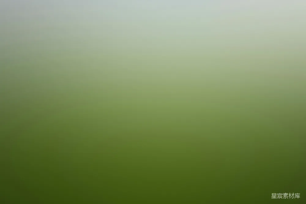 高清摄影 渐变色 雾绿色 抽象背景 自然风格 艺术设计 渐变的雾绿色背景