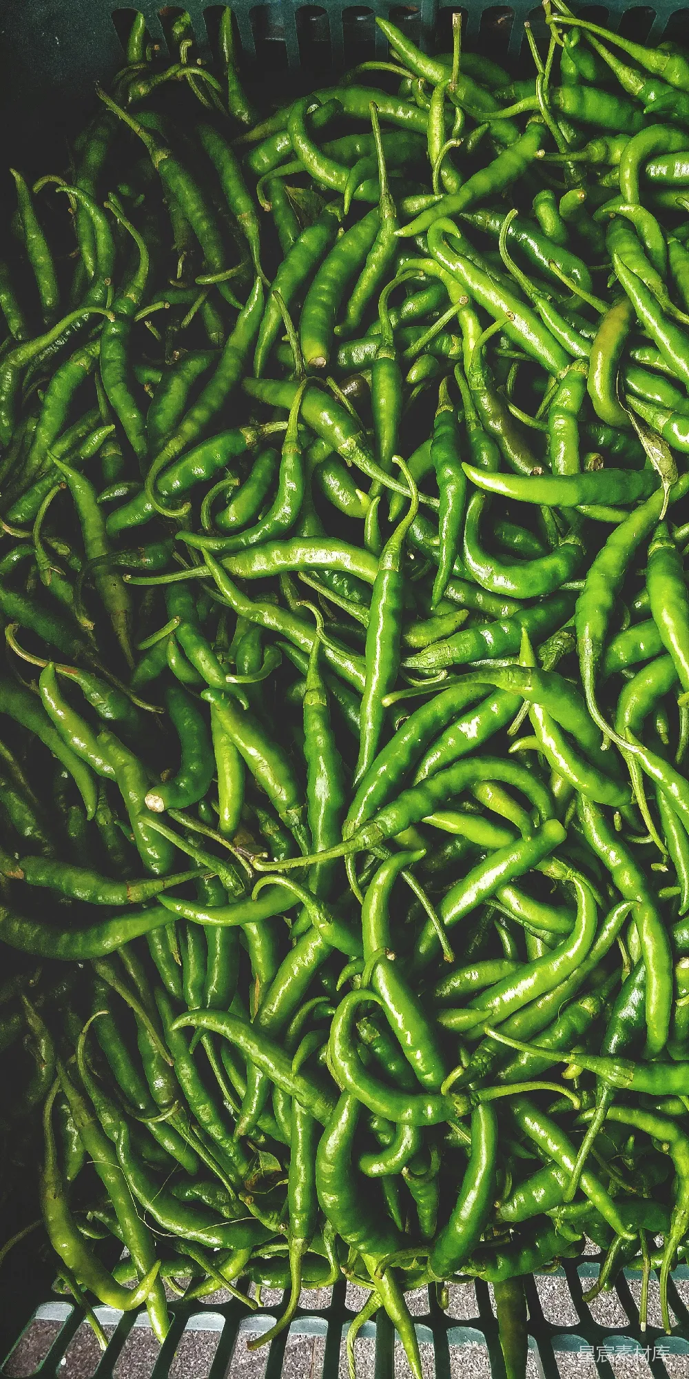 高清摄影 辣椒 蔬菜 绿色 食材 市场 绿辣椒堆