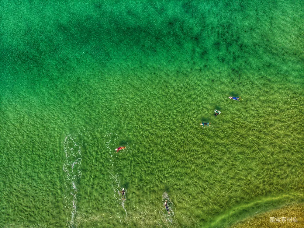 高清摄影 航拍 冲浪 碧绿色 海洋 休闲 俯瞰冲浪者在碧绿海水中畅游