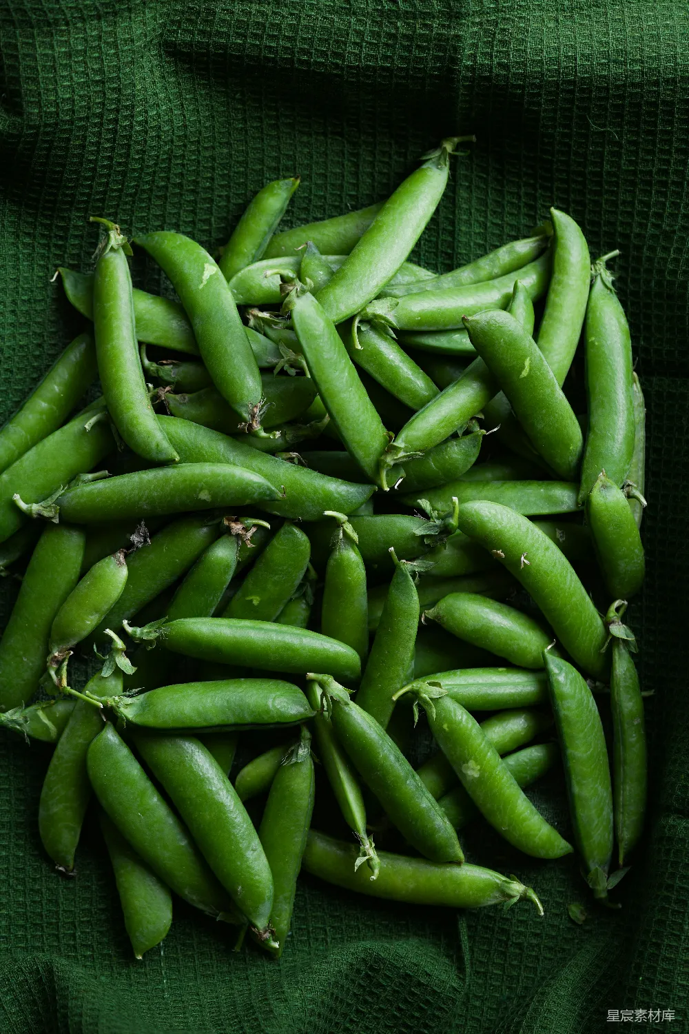 高清摄影 豆荚 绿色 新鲜 食材 自然 绿色豆荚堆