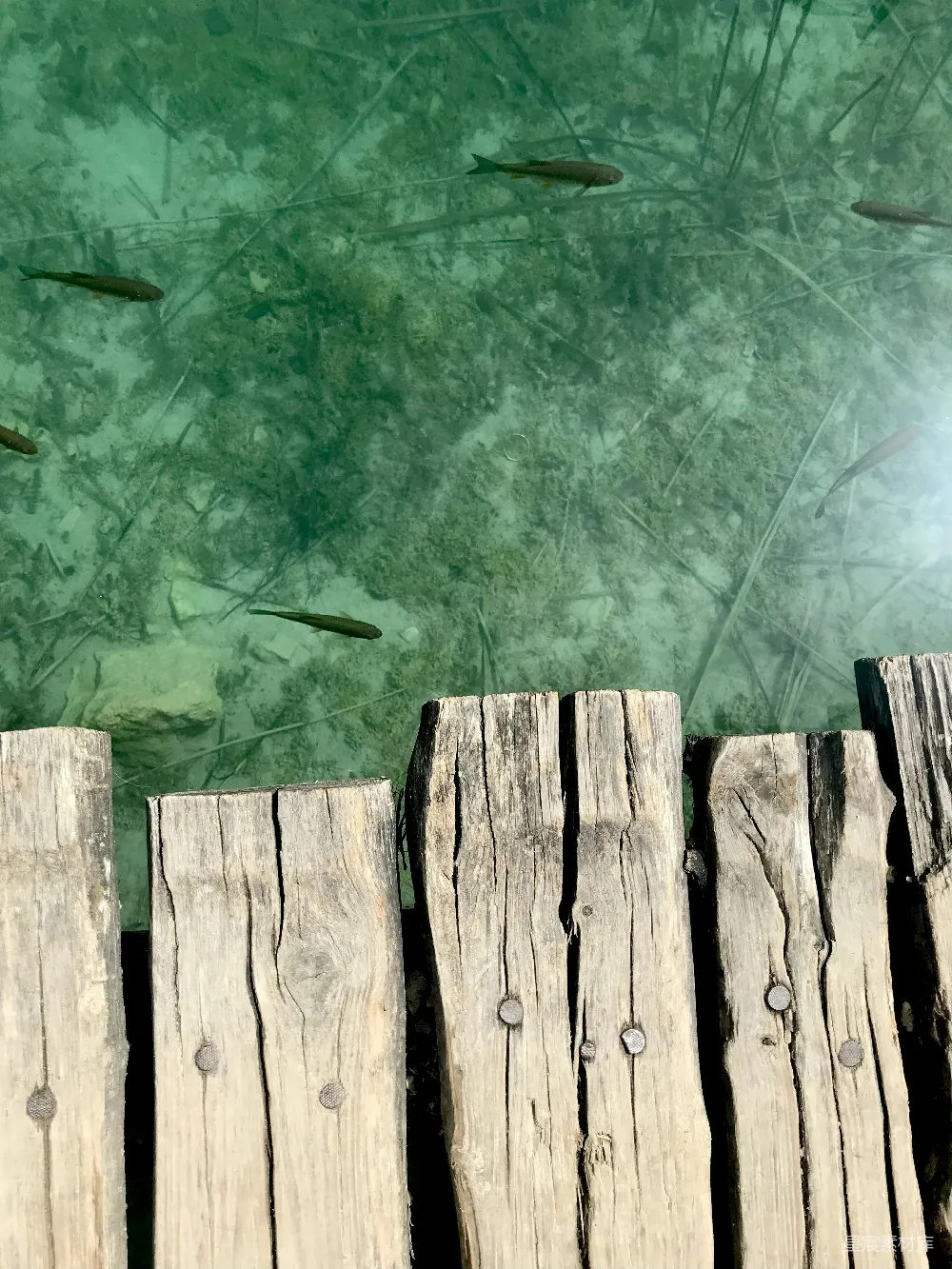 高清摄影 自然风光 宁静 户外 湖畔 休闲 木桥与清澈的湖水