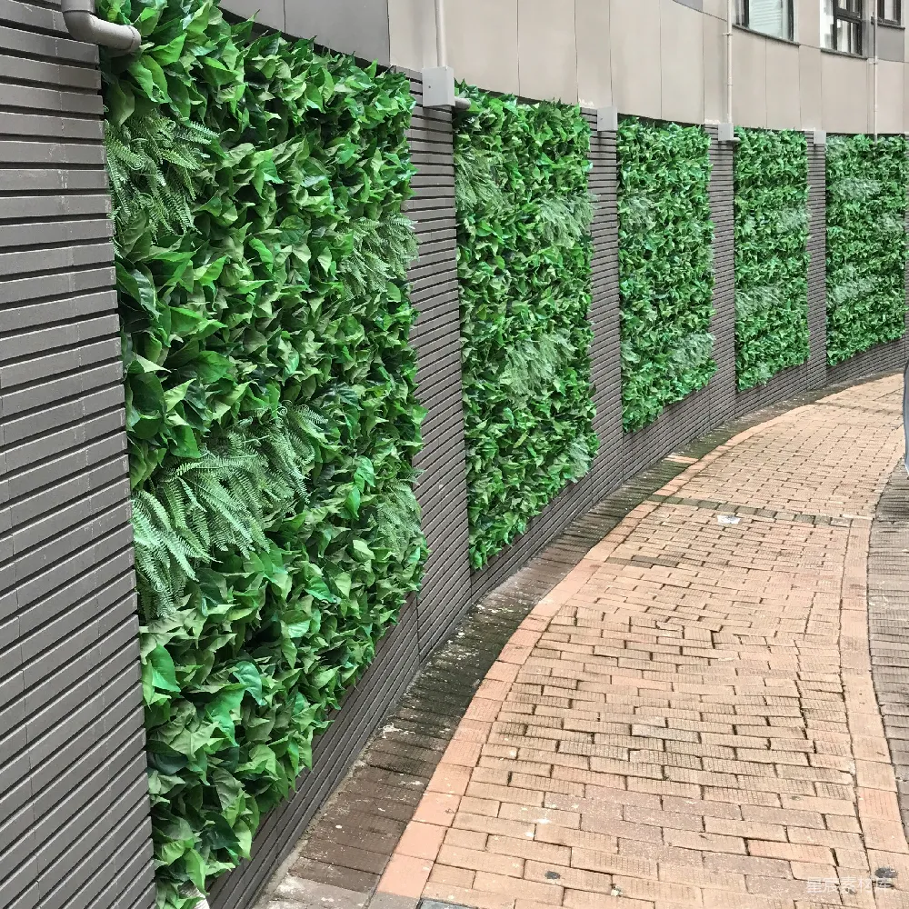 高清摄影 植物墙 城市绿化 户外场景 自然风格 城市美化 绿色植物墙与砖砌小径