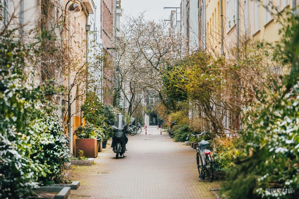 高清摄影 巷弄 城市风光 植物 宁静 建筑 静谧的巷弄