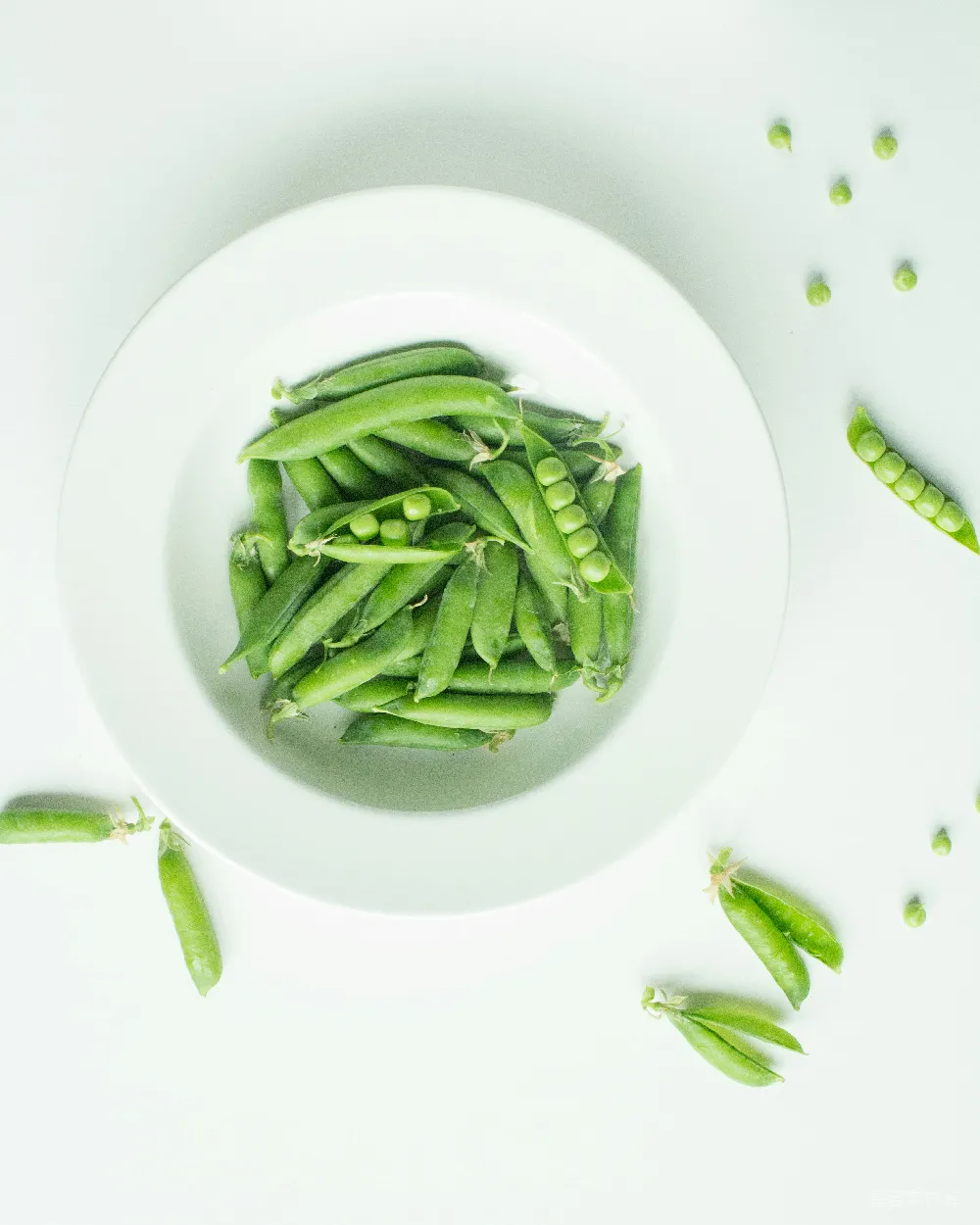 高清摄影 新鲜 豌豆 蔬菜 健康 美食 新鲜豌豆