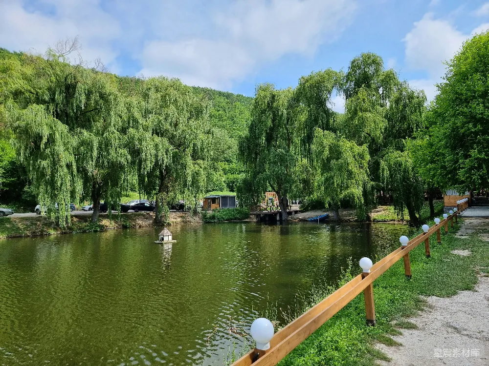 高清摄影 自然风光 湖畔景色 休闲度假 风景如画 户外休闲 柳树下的宁静湖畔