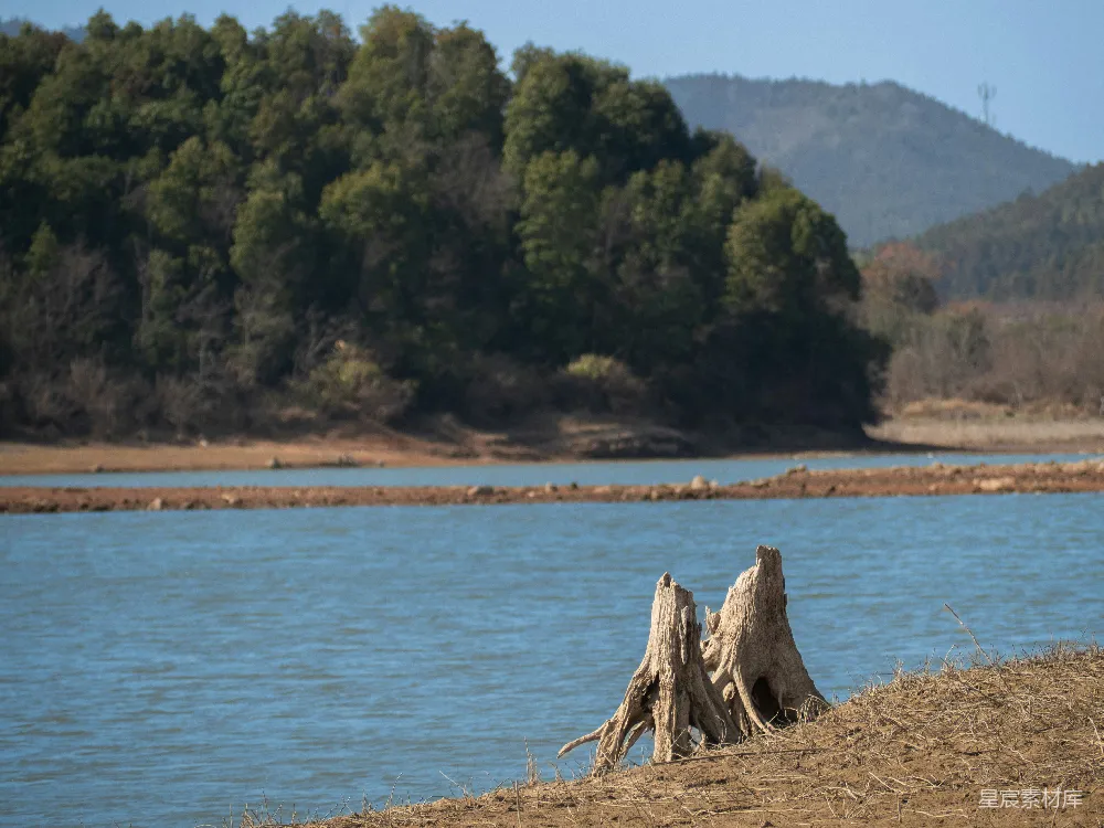 高清摄影 自然风光 湖光山色 枯木 静谧 宁静 湖畔枯木静谧景
