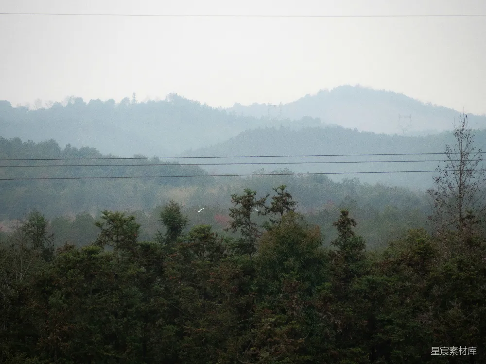 高清摄影 山林 雾气 自然风光 宁静 户外 雾蒙蒙的山林景色