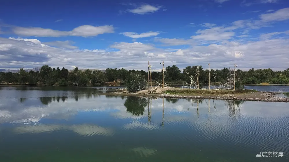 高清摄影 自然风光 湖畔风光 宁静氛围 户外摄影 自然景观 宁静湖畔的自然美景