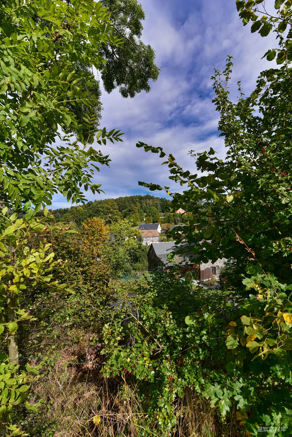 高清摄影 乡村 自然 风景 田园 宁静 乡村景色透过树枝