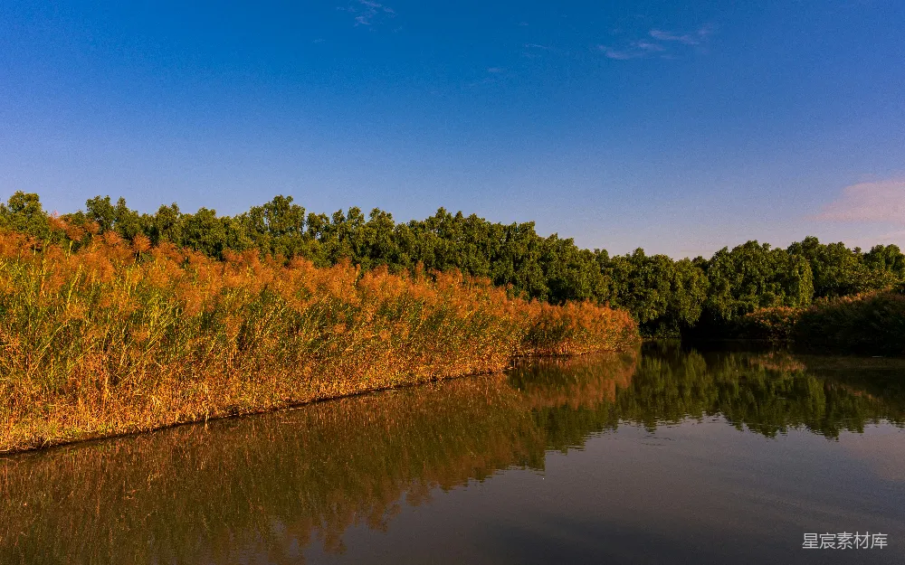 高清摄影 秋景 湖边 宁静 自然 风景 秋日湖畔的宁静