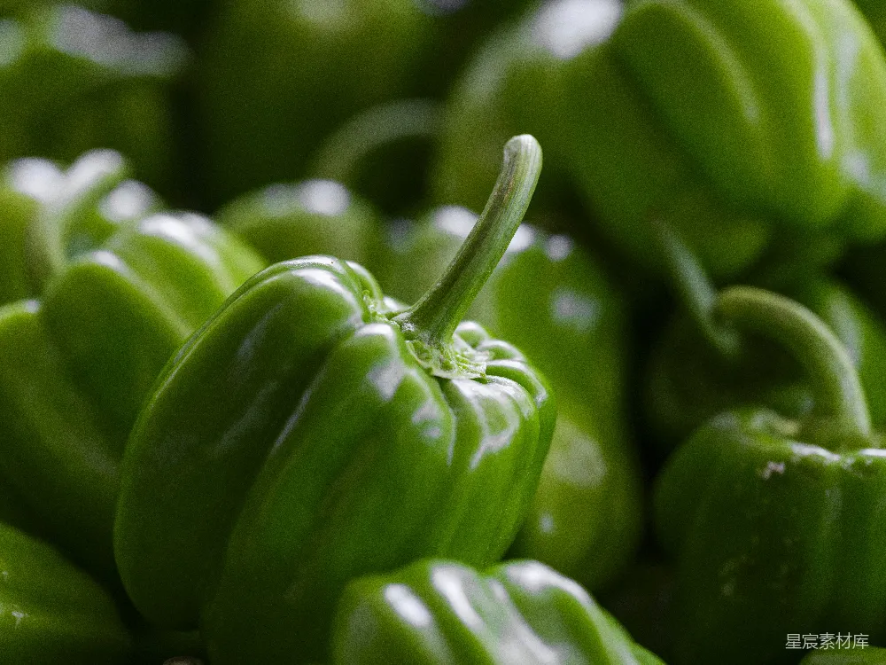 高清摄影 青椒 蔬菜 健康 摄影 美食 新鲜青椒特写